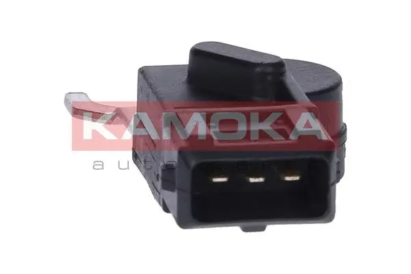 Sensor, camshaft position (108021)