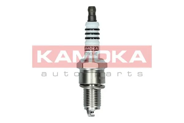 Spark Plug (7090516)