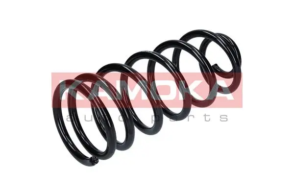 Suspension Spring (2120138)