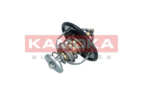 Thermostat, coolant (7710148)