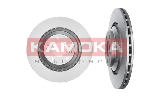 Brake Disc (1031041)