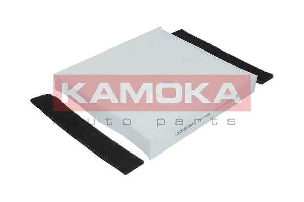 Filter, cabin air (F411901)