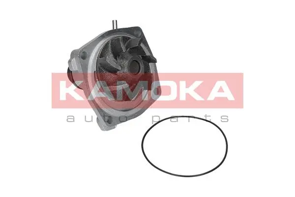 Water Pump, engine cooling (T0006)