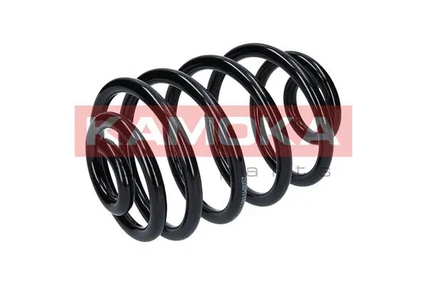 Suspension Spring (2120043)