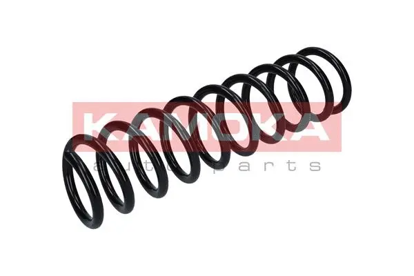Suspension Spring (2120118)