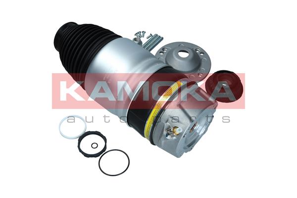 Air Spring, suspension