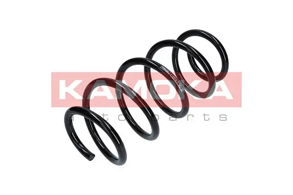 Suspension Spring (2110303)