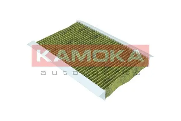 Filter, cabin air (6080009)