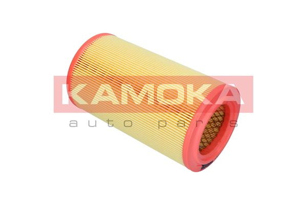 Air Filter (F259501)