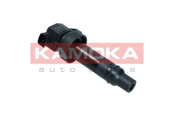 Ignition Coil (7120177)