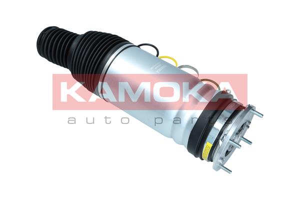 Air Spring, suspension