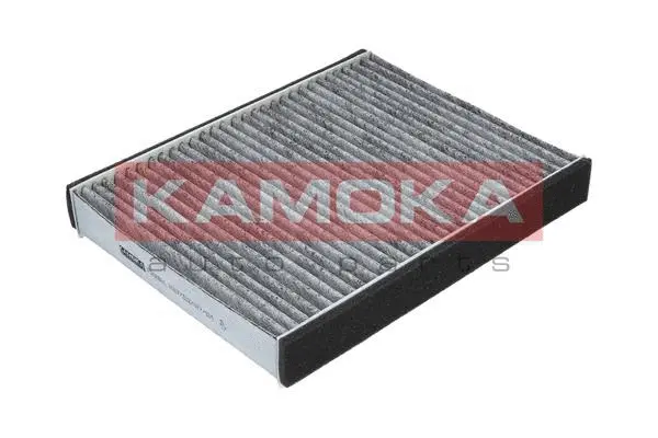 Filter, cabin air (F502801)