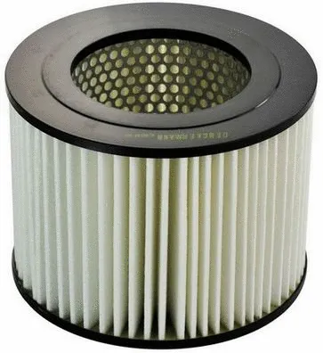 Air Filter (A140144)
