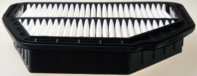 Air Filter (A141130)
