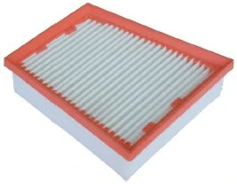Air Filter (A141389)