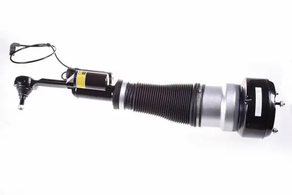 Air Suspension Strut (DSA021G)