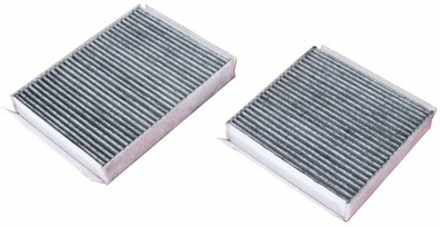 Filter, cabin air (M110561K)