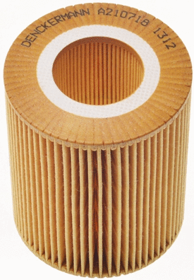 Oil Filter (A210718)