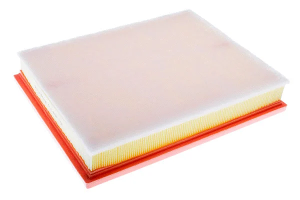 Air Filter (A141656)