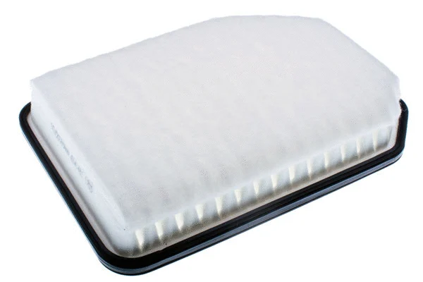 Air Filter (A141481)
