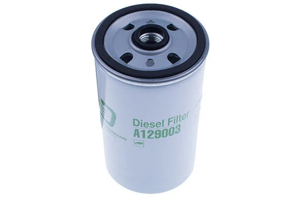Fuel Filter (A129003)