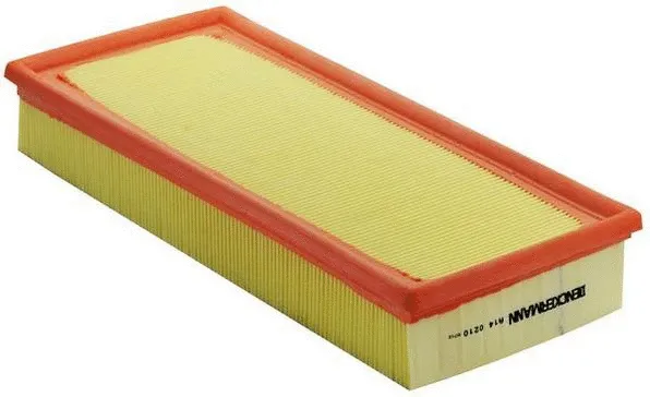 Air Filter (A140210)
