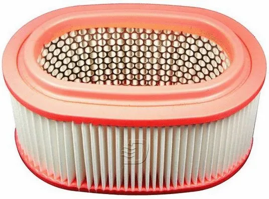 Air Filter (A140430)