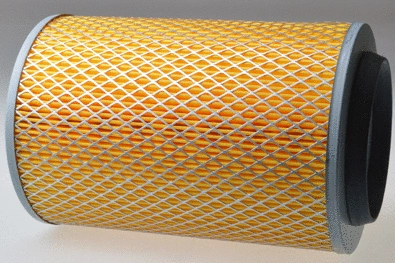 Air Filter (A141283)