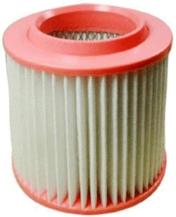 Air Filter (A141238)
