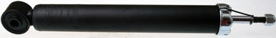 Shock Absorber (DSF066G)