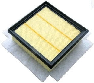 Air Filter (A140865)