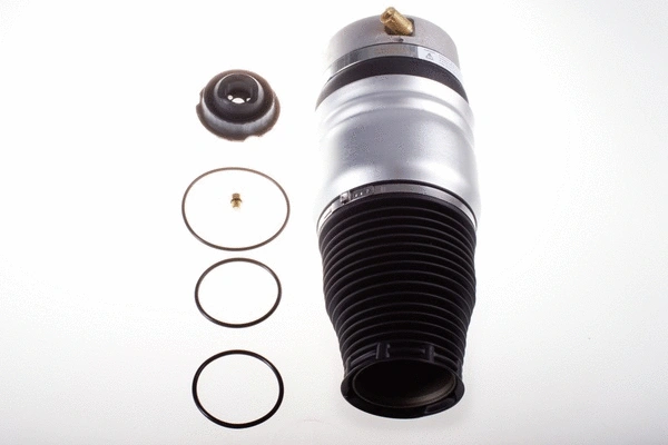 Air Spring, suspension (DSA113G)