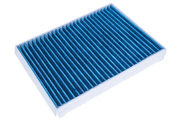 Filter, cabin air (M110942A)