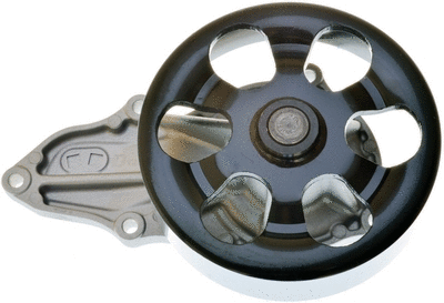 Water Pump, engine cooling (A310848P)