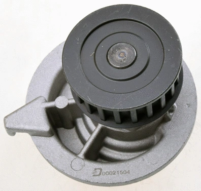 Water Pump, engine cooling (A310035P)
