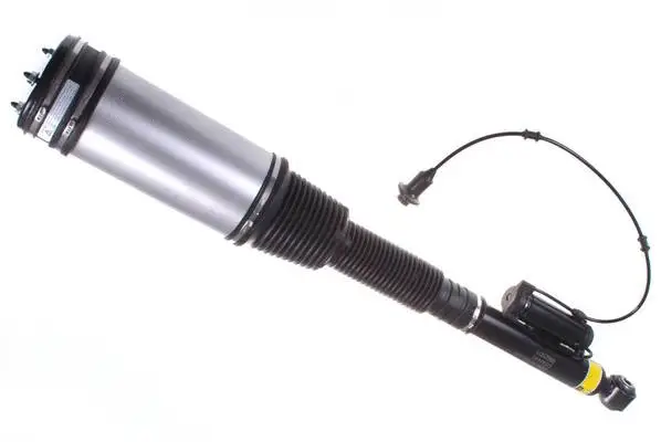 Air Suspension Strut (DSA004G)