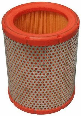 Air Filter (A140496)