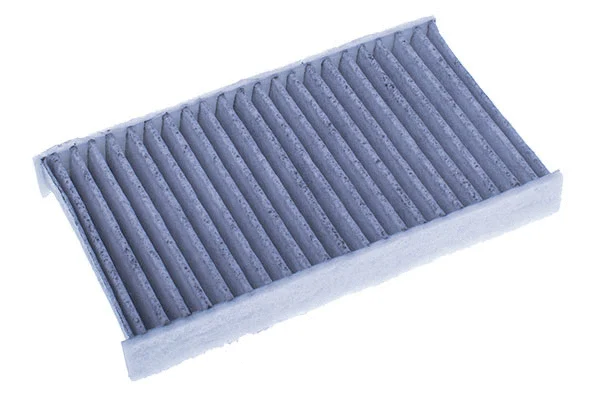 Filter, cabin air (M110931K)