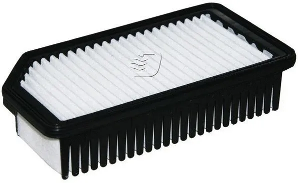 Air Filter (A141250)