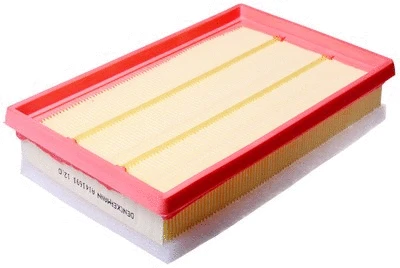 Air Filter (A141691)