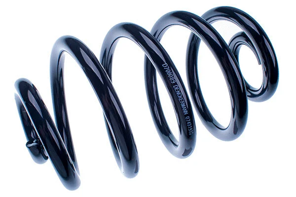 Suspension Spring (D700089)