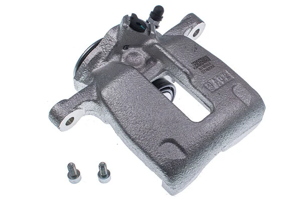 Brake Caliper (B190107L)