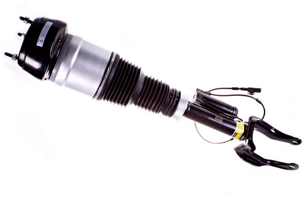 Air Suspension Strut (DSA019G)