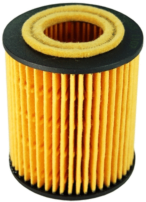 Oil Filter (A210665)