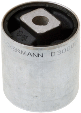 Mounting, control/trailing arm (D300084)