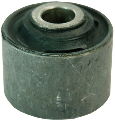 Bushing, axle beam (D300018)