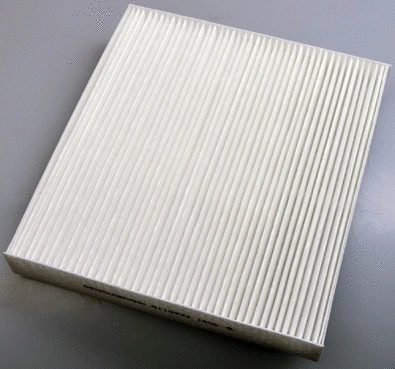 Filter, cabin air (M110922)
