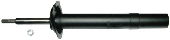 Shock Absorber (DSC008G)