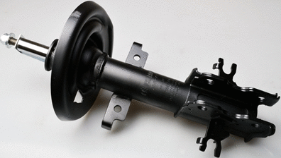 Shock Absorber (DSB276G)