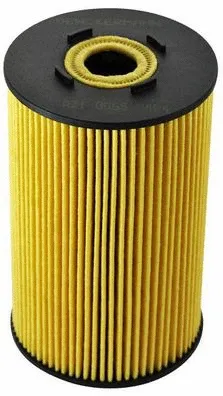 Oil Filter (A210065)